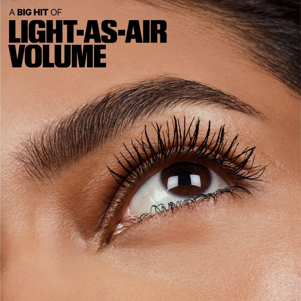 The Lash Duo